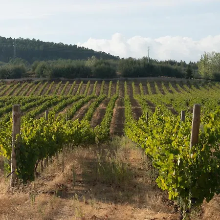Tranca Da Barriga - Casa Do Vinho By Quinta De Sao Tiago בית חווה קוביליה