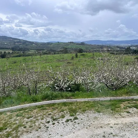 Tranca Da Barriga - Casa Do Vinho By Quinta De Sao Tiago Farm stay