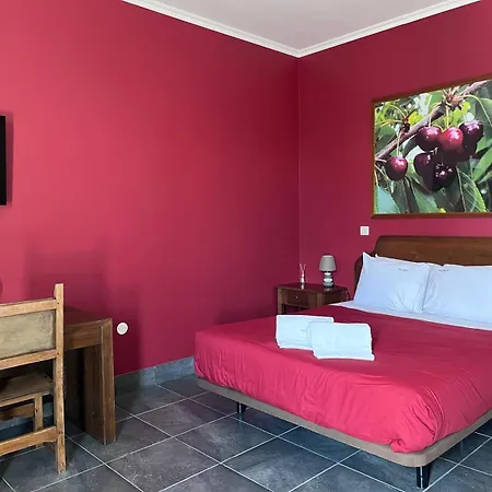 Tranca Da Barriga - Casa Do Vinho By Quinta De Sao Tiago