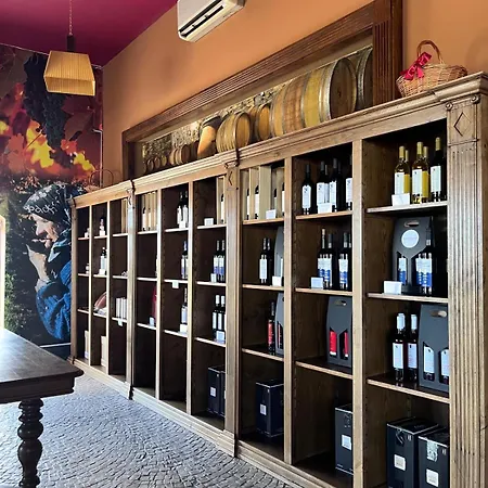 Tranca Da Barriga - Casa Do Vinho By Quinta De Sao Tiago Lantgård *