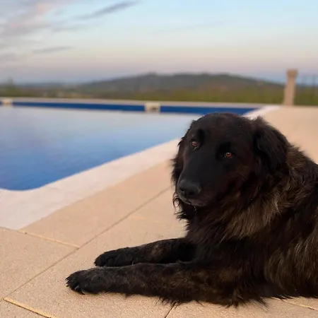 Tranca Da Barriga - Casa Do Vinho By Quinta De Sao Tiago Covilha