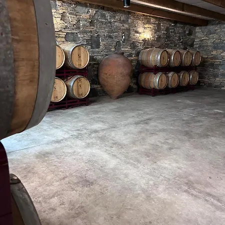 Farm stay Tranca Da Barriga - Casa Do Vinho By Quinta De Sao Tiago