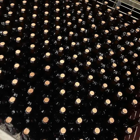 בית חווה Tranca Da Barriga - Casa Do Vinho By Quinta De Sao Tiago קוביליה