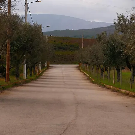 Tranca Da Barriga - Casa Do Vinho By Quinta De Sao Tiago Κατάλυμα σε φάρμα