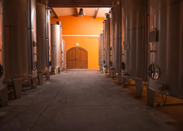 Tranca Da Barriga - Casa Do Vinho By Quinta De Sao Tiago