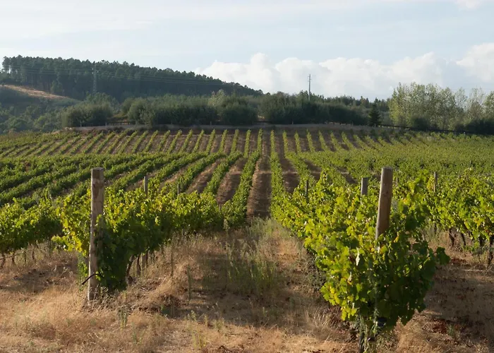 Tranca Da Barriga - Casa Do Vinho By Quinta De Sao Tiago Çiftlik konaklama Covilhã