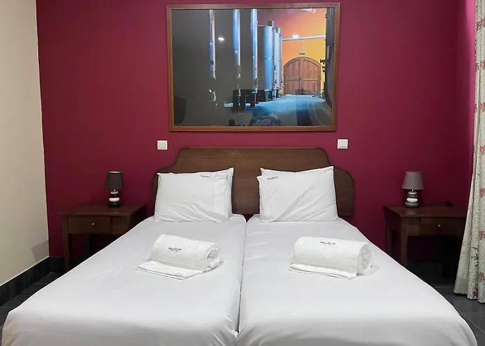 Tranca Da Barriga - Casa Do Vinho By Quinta De Sao Tiago *