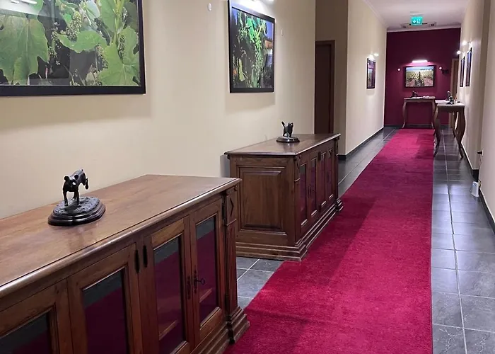 Tranca Da Barriga - Casa Do Vinho By Quinta De Sao Tiago * Covilhã