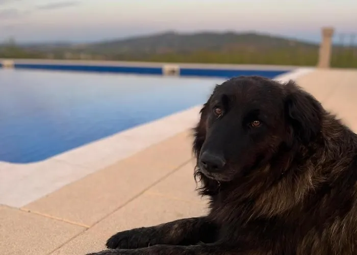 Tranca Da Barriga - Casa Do Vinho By Quinta De Sao Tiago Covilhã