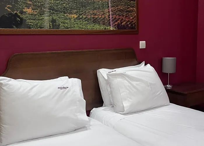 Tranca Da Barriga - Casa Do Vinho By Quinta De Sao Tiago * Covilhã