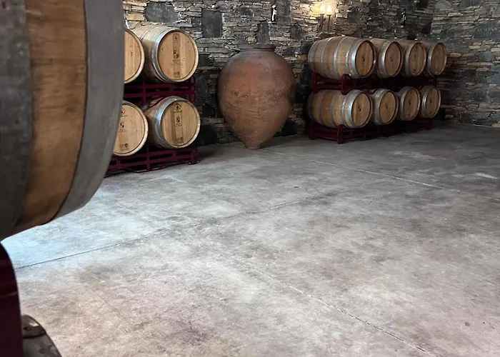 Séjour à la ferme Tranca Da Barriga - Casa Do Vinho By Quinta De Sao Tiago