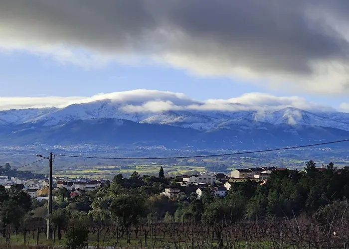 Tranca Da Barriga - Casa Do Vinho By Quinta De Sao Tiago Séjour à la ferme *