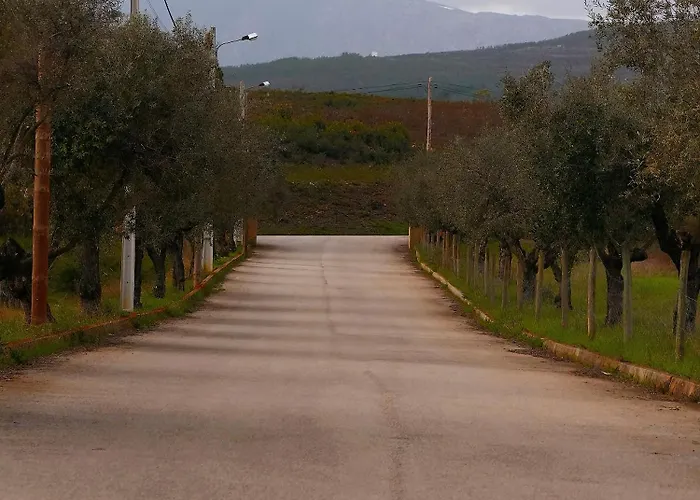 Tranca Da Barriga - Casa Do Vinho By Quinta De Sao Tiago Séjour à la ferme